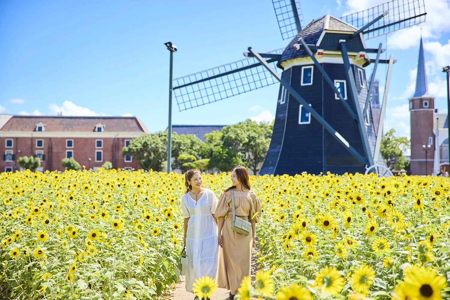 一面にひまわりが咲き誇る「フラワーロード」