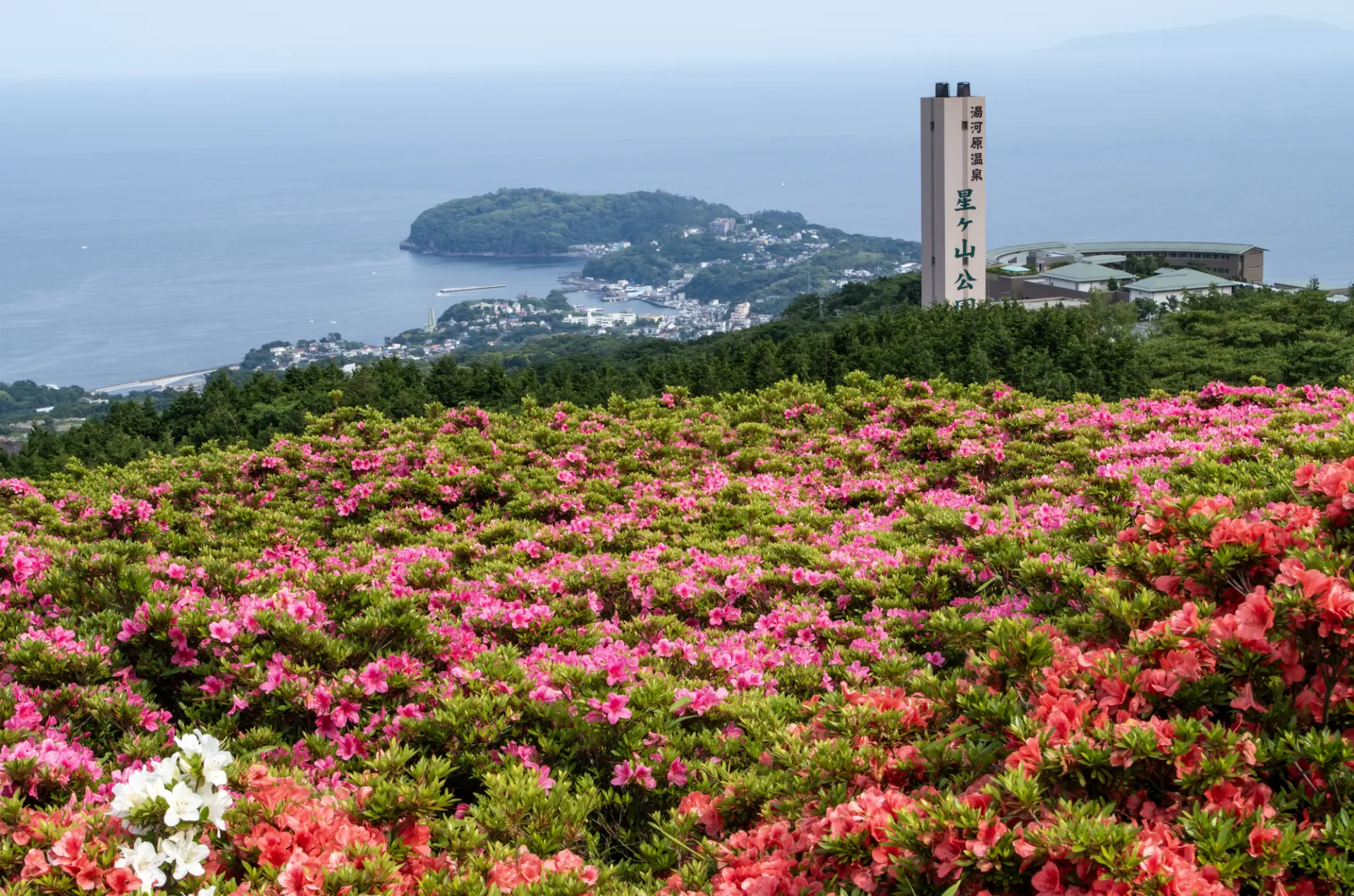 イベント期間中の土・日は、さつきの郷まで無料の臨時バスが運行されている