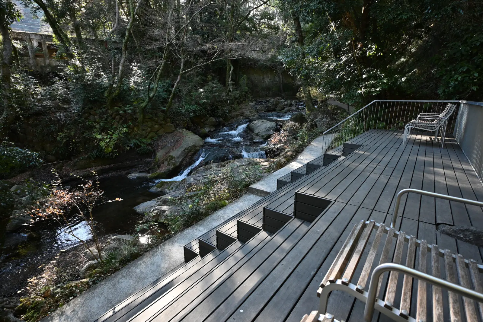 1月中旬の万葉公園を訪れたが、天気がよければ外で過ごすことができた