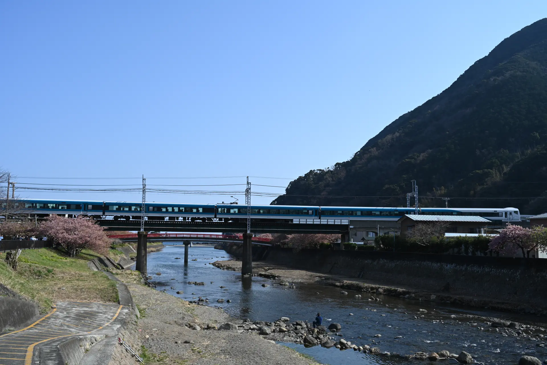 河津川を渡る踊り子号。グリーン車もつなぐ編成だ