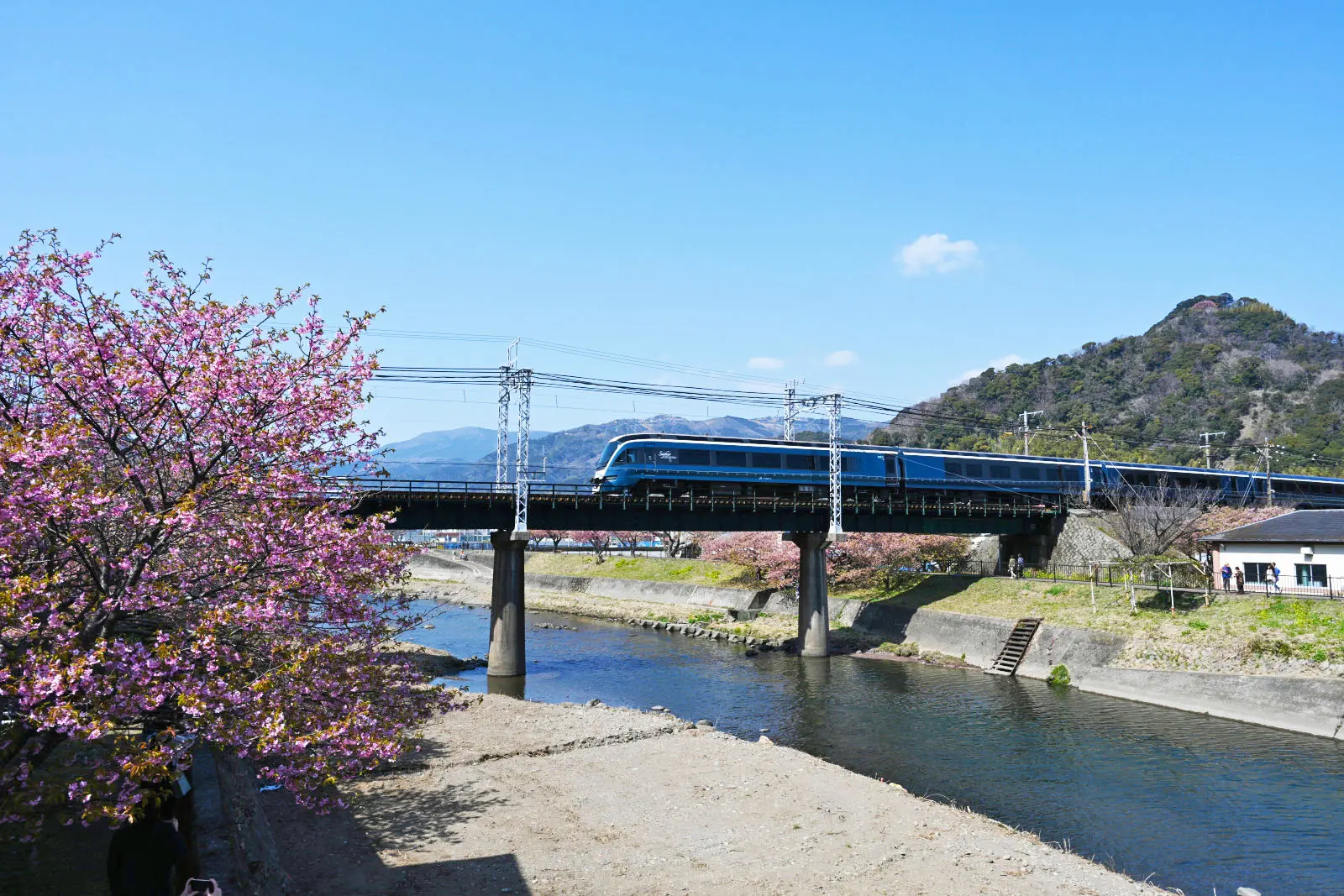 下田に向かうサフィール踊り子。天井部分にも窓が設けられている