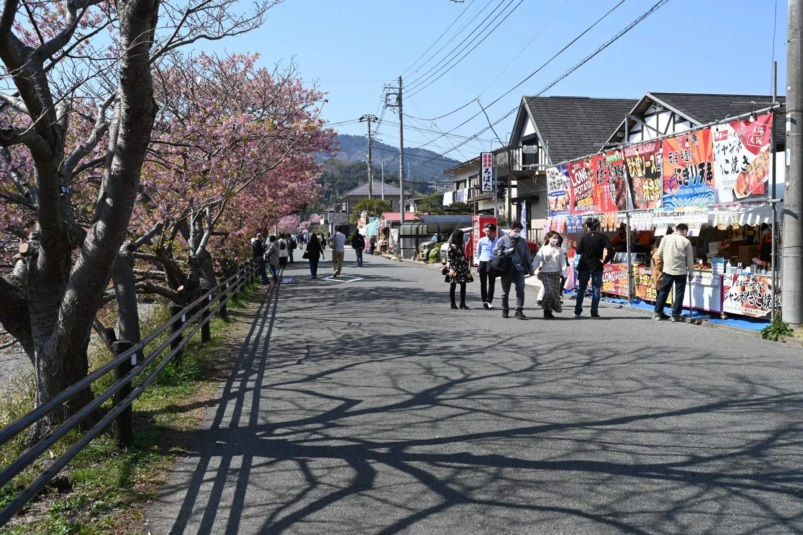 川沿いの露店をのぞきながら散歩できるのは、桜まつり期間中ならではの楽しみ
