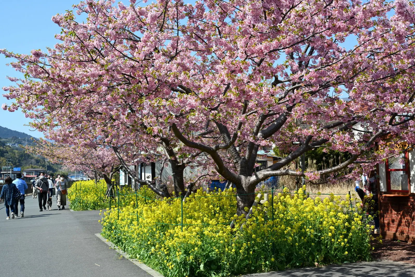 駅から徒歩10〜20分圏内に多くの観光客が集中する