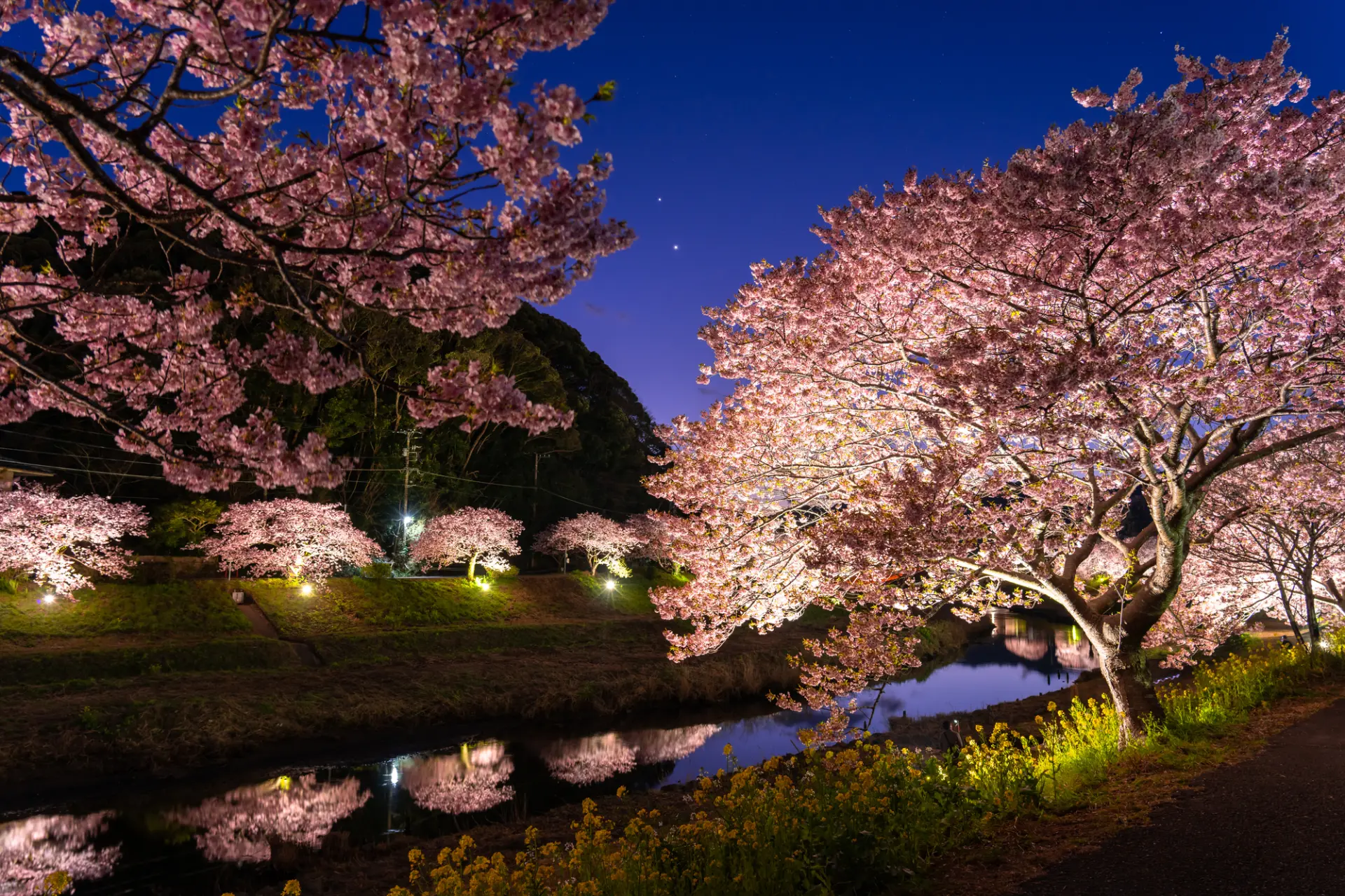 ライトアップの時間は足元に注意しながら歩こう