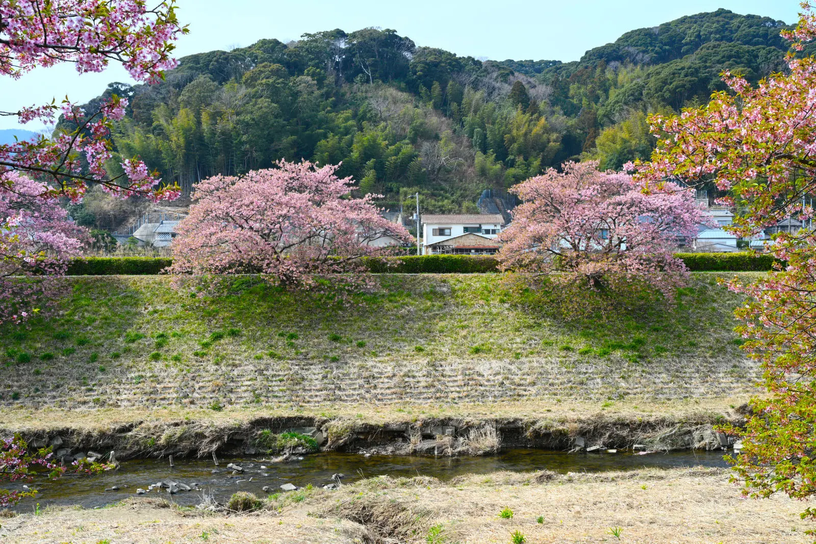 柵がほとんどないので、昔懐かしい里山の風情を味わうことができる