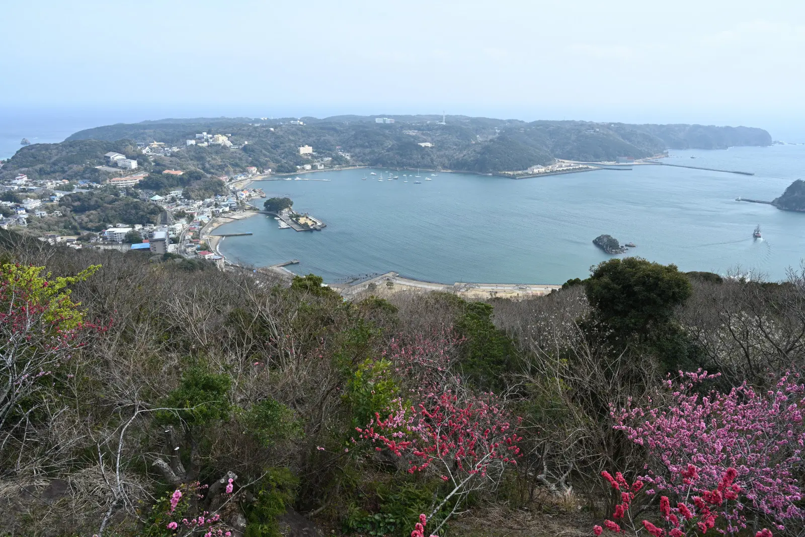 展望台からは、下田港から須崎方向まで見渡すことができる