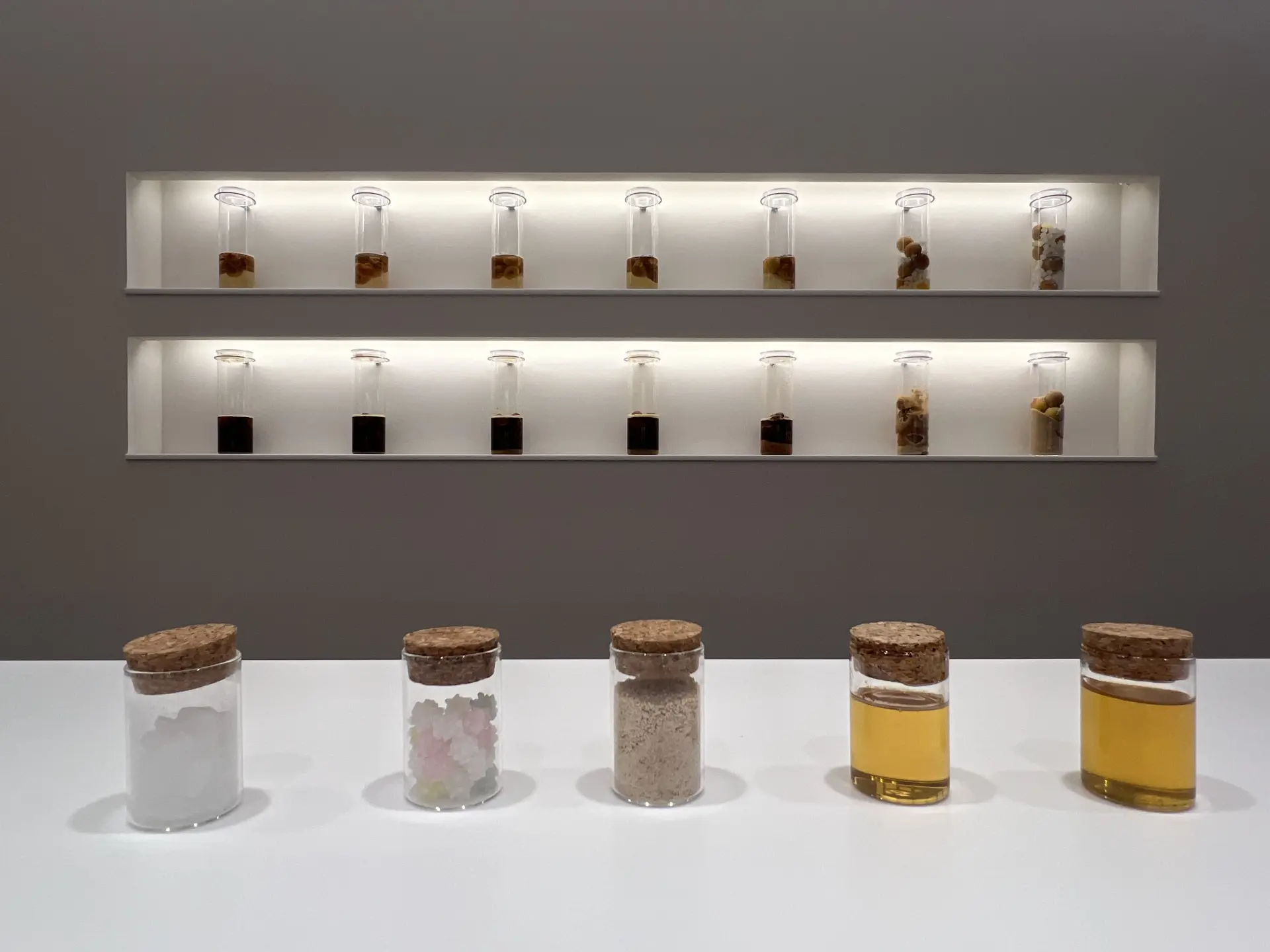 左から順に氷砂糖、こんぺい糖、てんさい糖、有機アガベシロップ、はちみつ