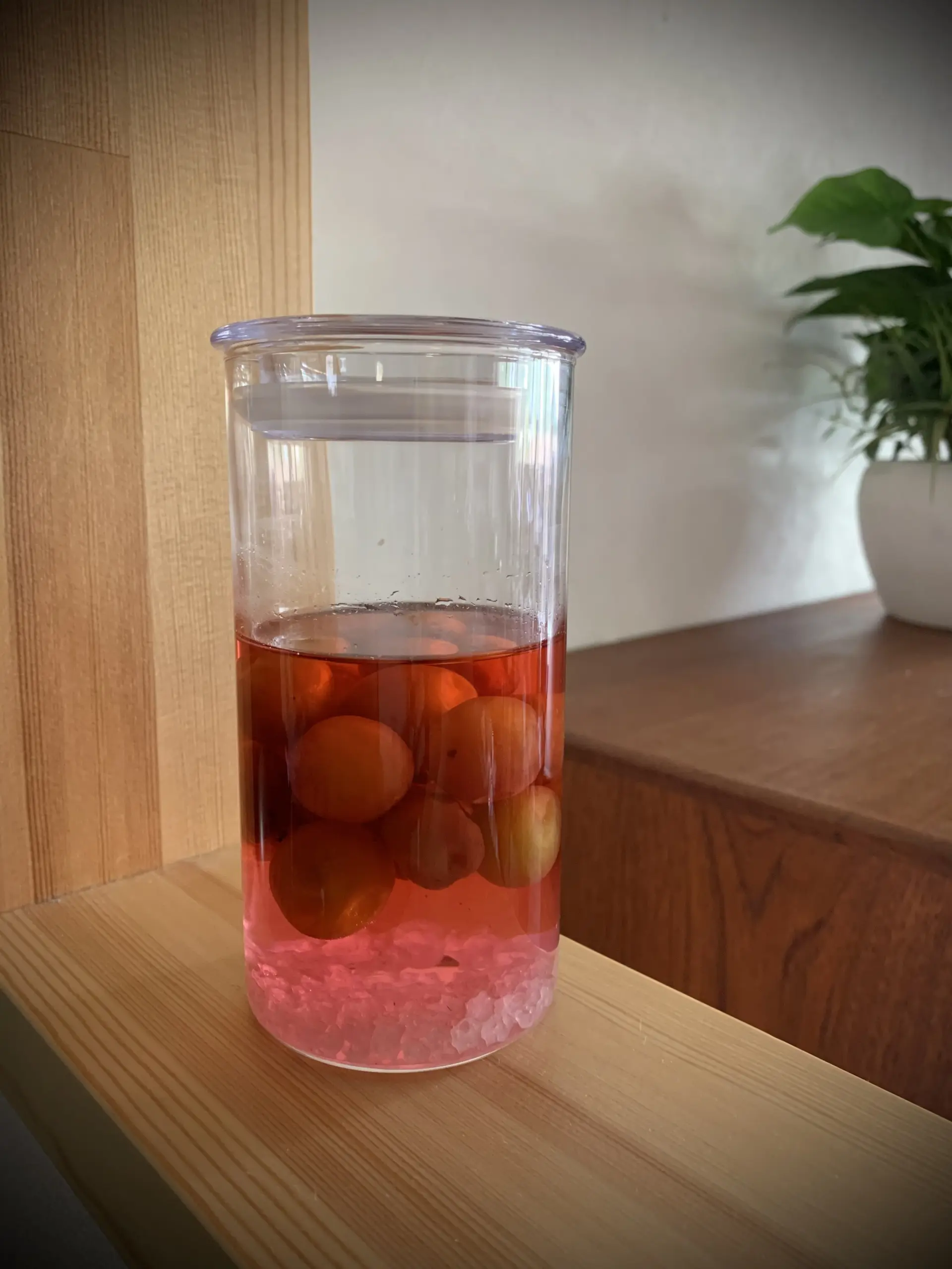 すっかり砂糖が溶け、熟成が進む