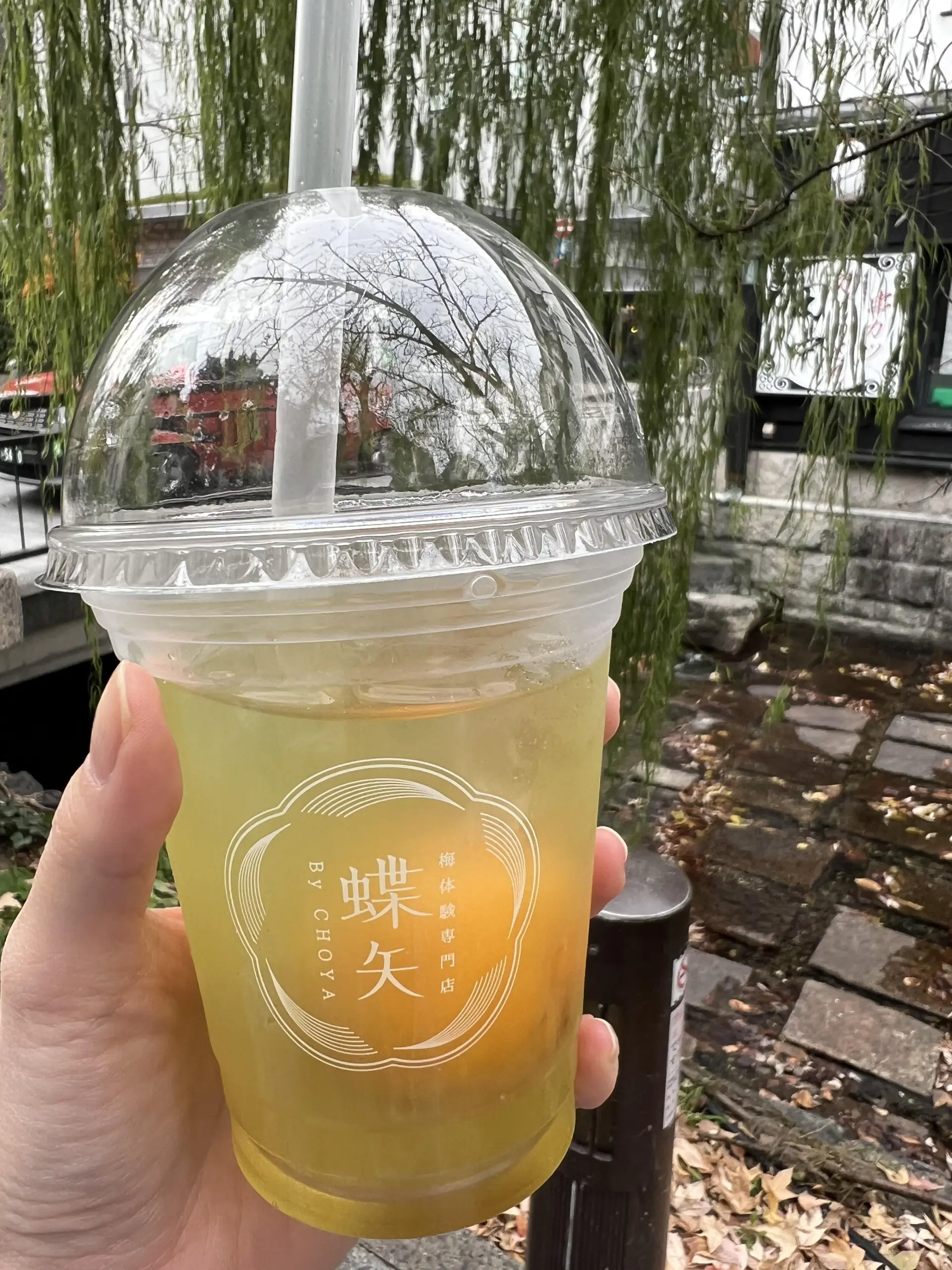 梅ドリンク片手に町を散策