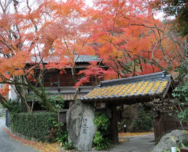 在“福岡小京都”「秋月溫泉料亭旅館 清流庵」邂逅極致日式款待，享受什麼都不做的慢活時光