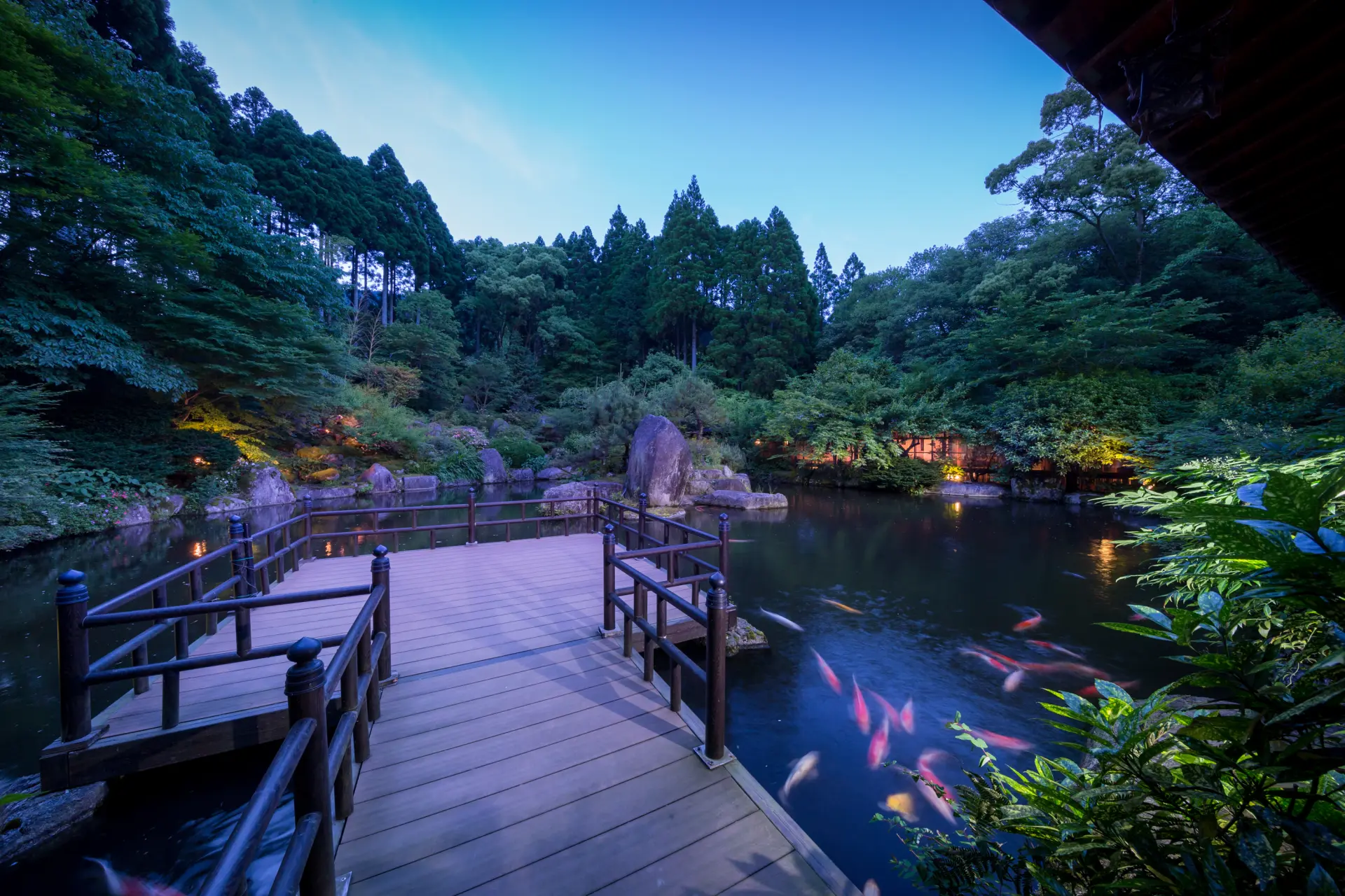 從大廣間望過去的日式庭園