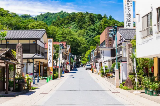 位於高尾山山麓的高尾山藥王院表參道上有多家提供「山藥泥蕎麥麵」的店家