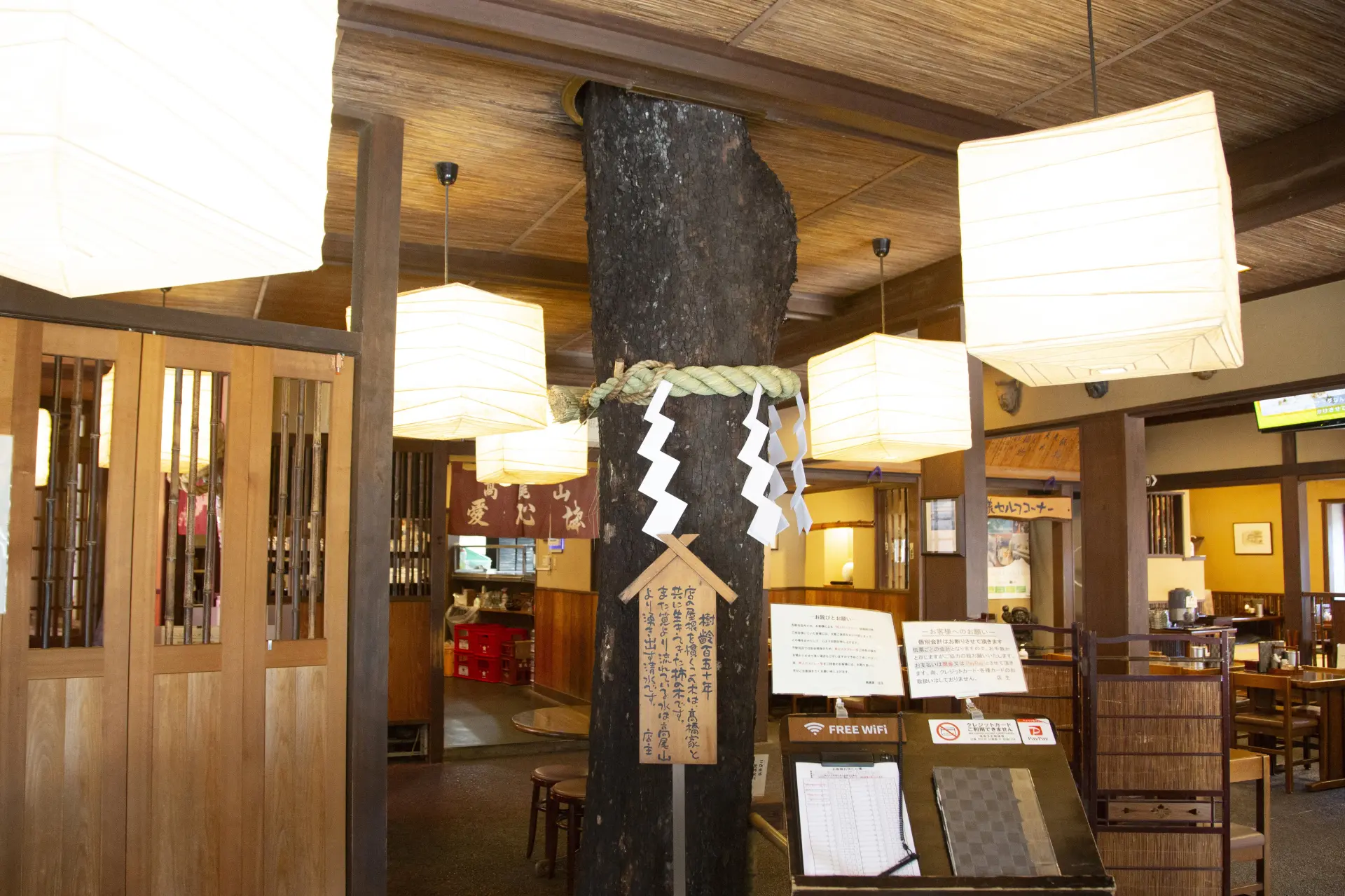 店内を貫き、天に伸びる柿の木