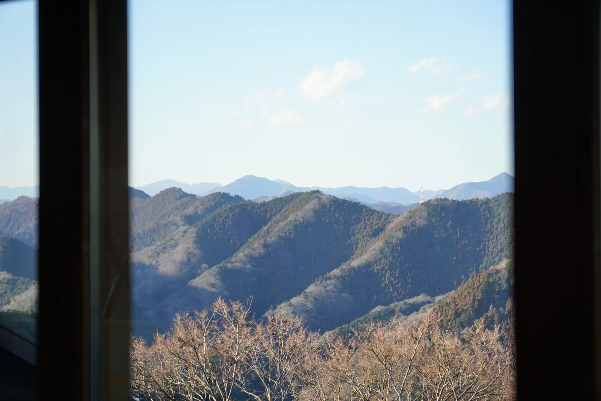 雲取山、御前山、鷹ノ巣山、大岳山を一望できる