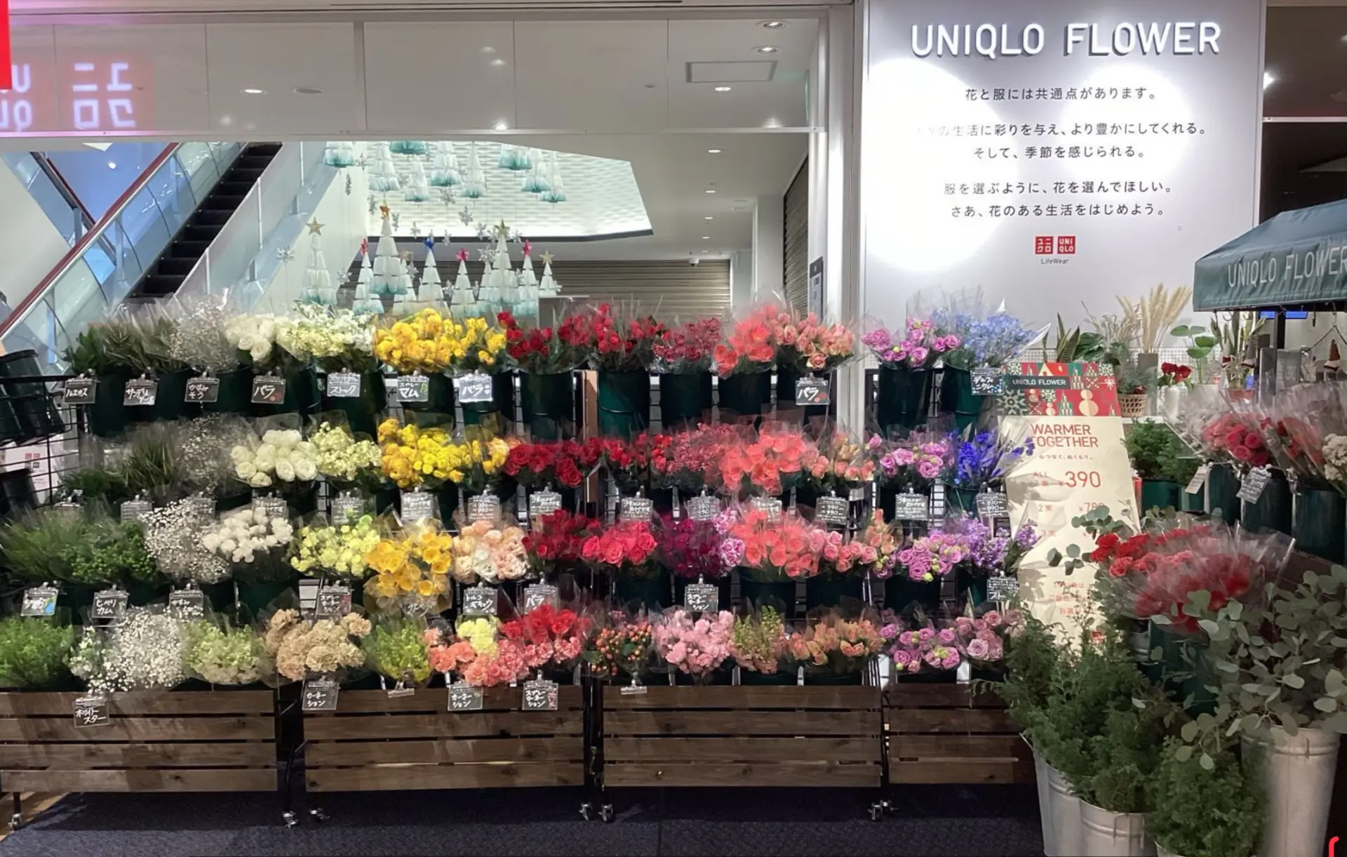 UNIQLO FLOWER傳遞「以花卉點綴生活」的概念