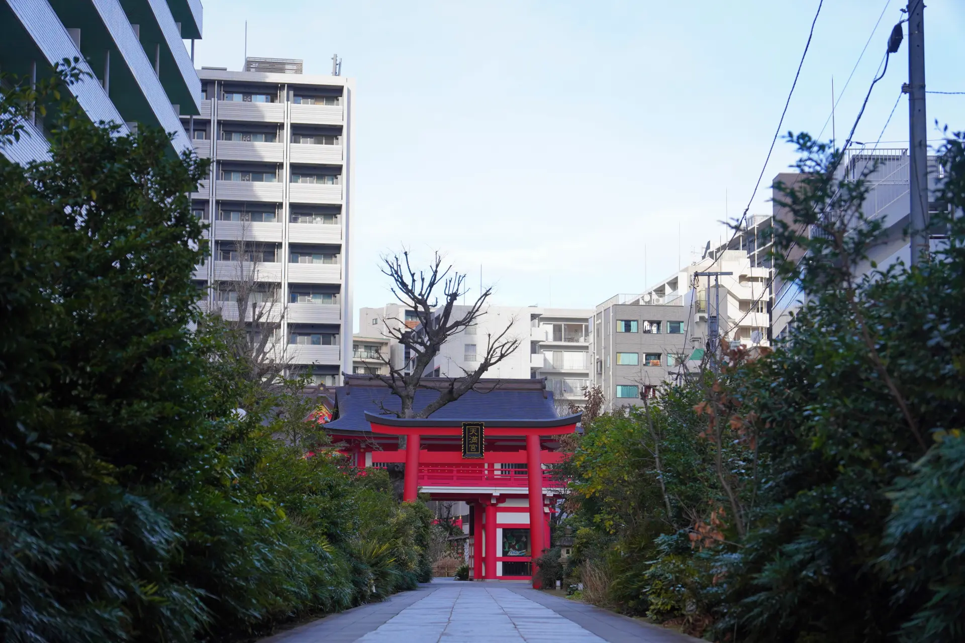 从入口开始的景象仿佛误入异世界