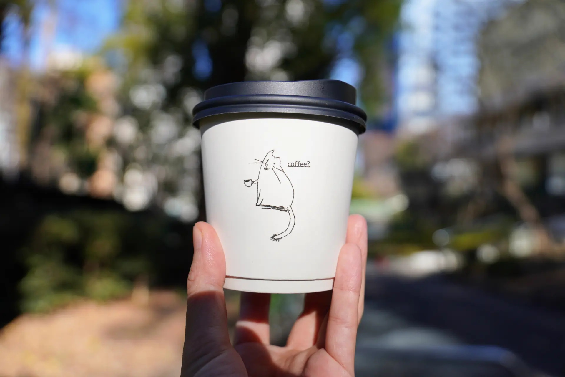 老板是爱猫人士