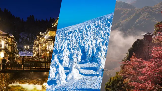 東北之心、山形村山