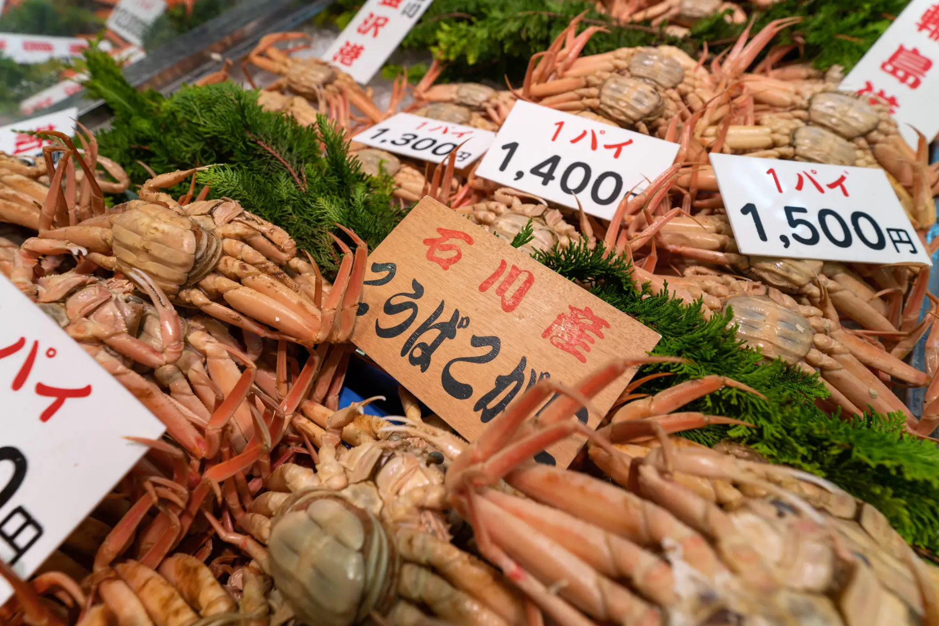 冬になると市名物の香箱ガニが登場する