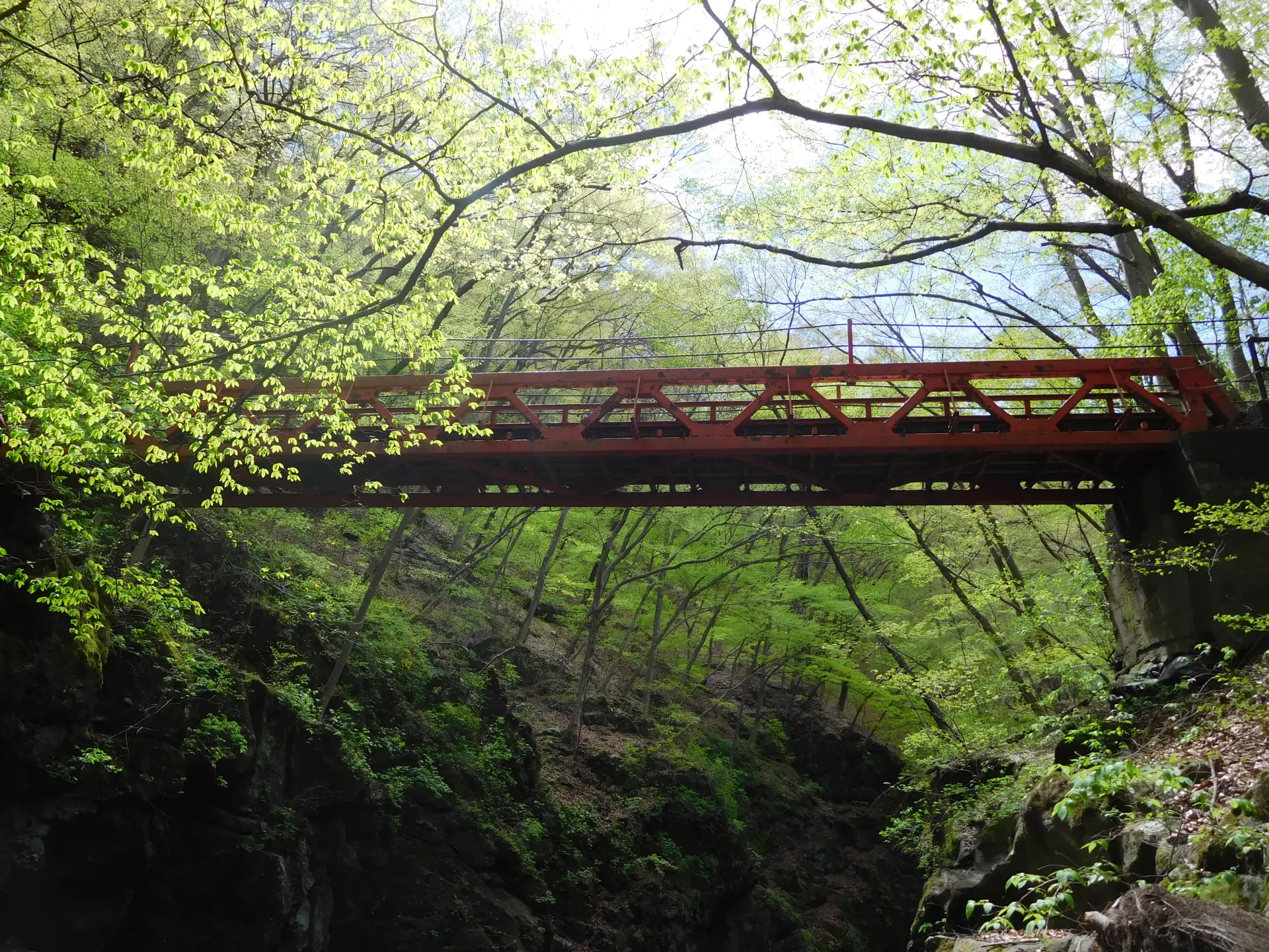 新绿中映衬红色栏杆的「鹿飞桥」