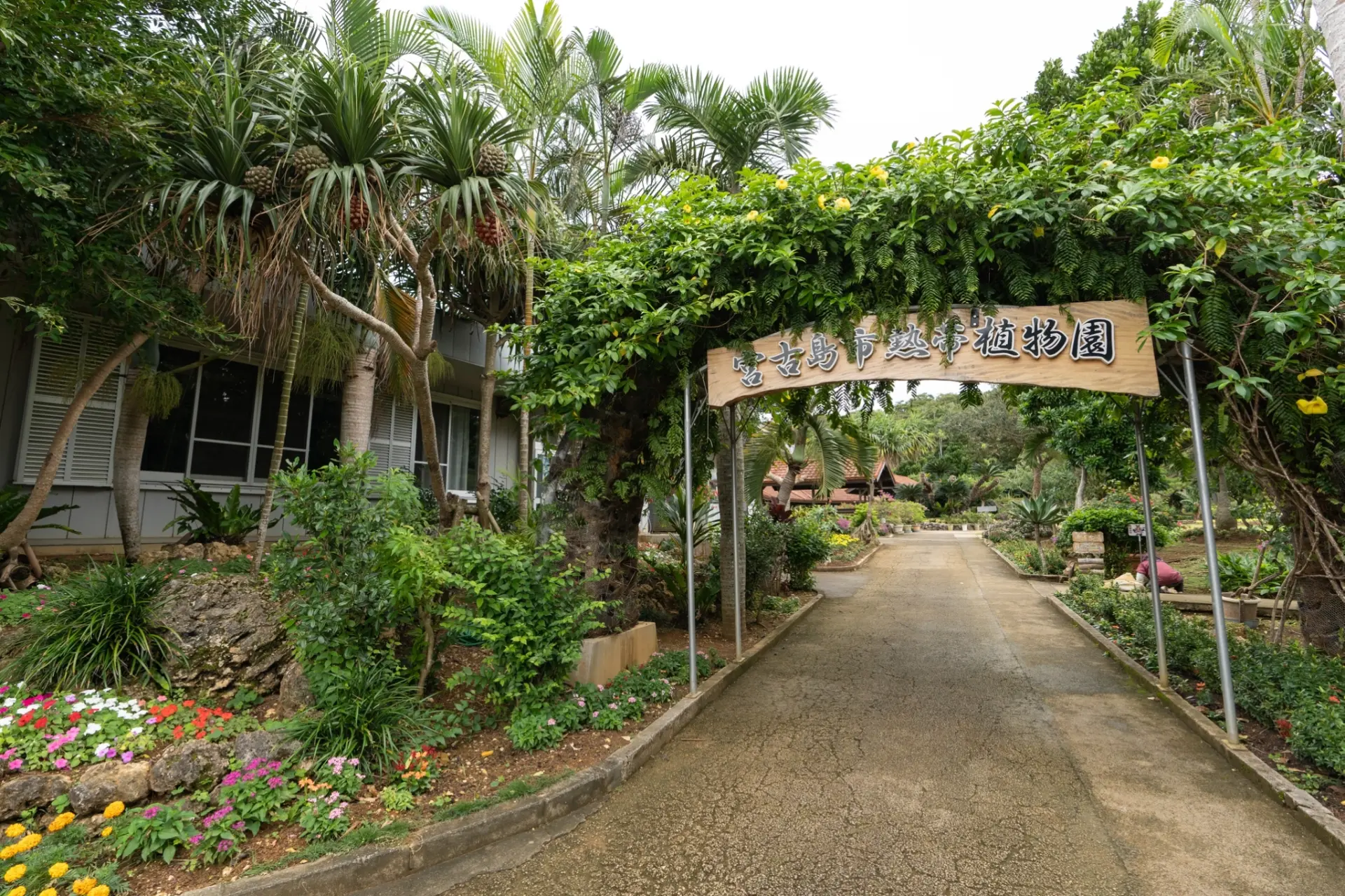 南国植物に囲まれた園路から、ゆったりとした園内散策が始まる