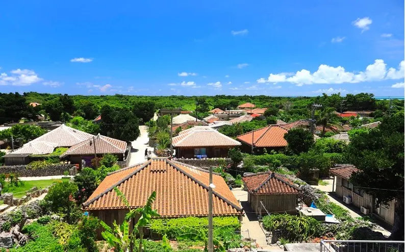 竹富島の赤瓦の集落を一望できる展望台