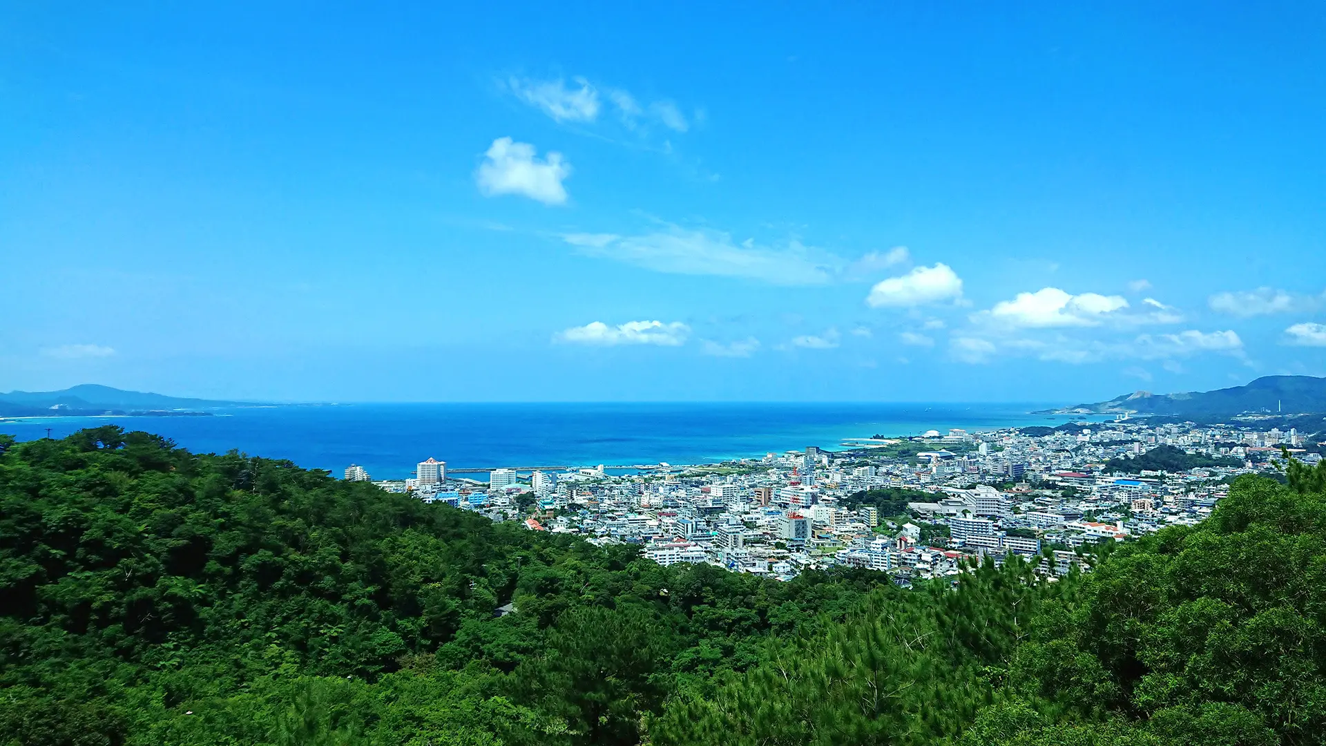 高台から名護の街と東シナ海を見渡すことができる公園