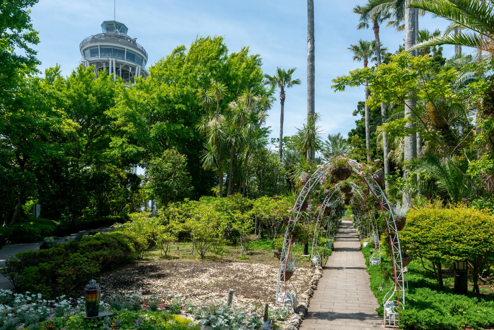園内には数多くの植物が豊かに茂っている