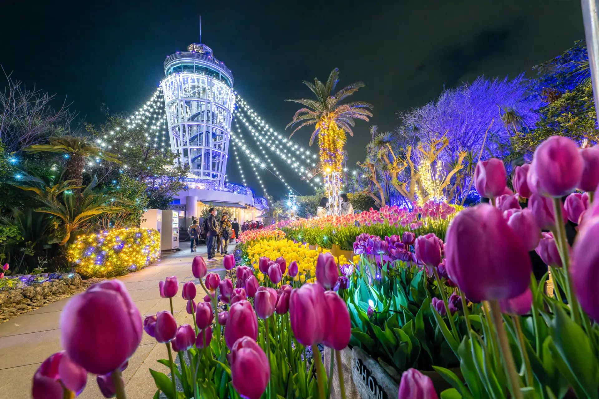 色とりどりの花とイルミネーションに包まれた園内