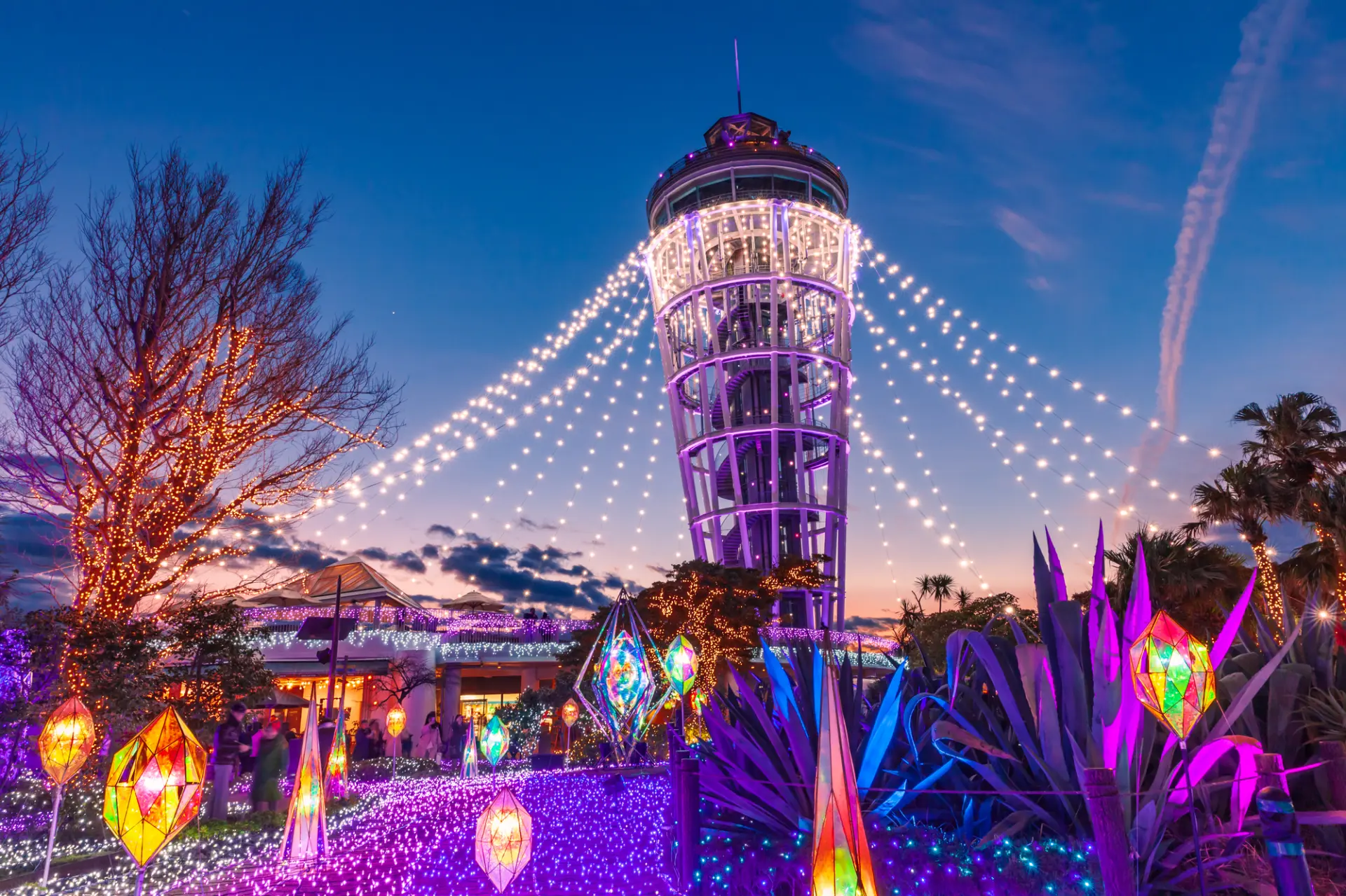 夜のライトアップされた姿も見逃せない美しさ