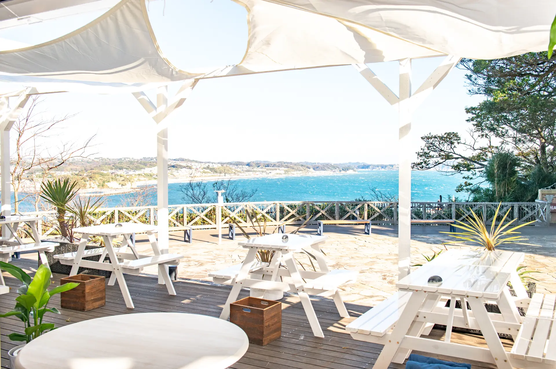 海の向こうに三浦半島を望む