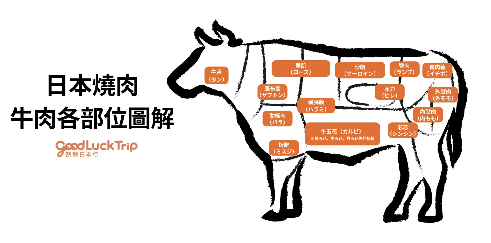 日本燒肉牛肉各部位圖解