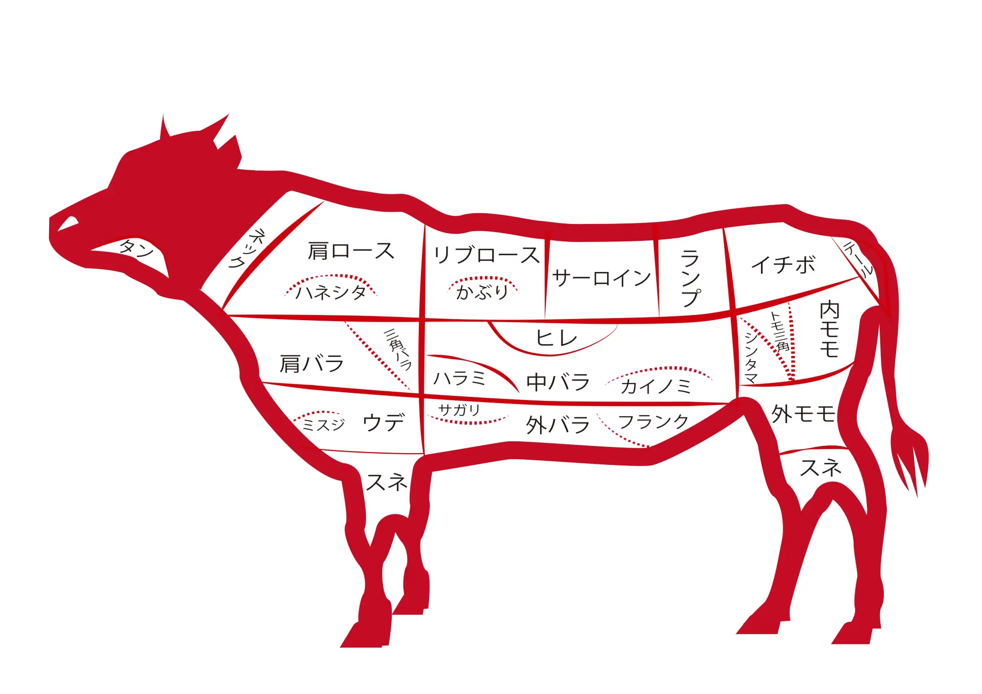 牛肉の部位図鑑