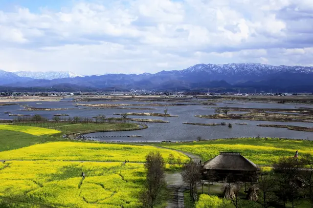 從「View福島潟」展望樓層一覽福島潟
