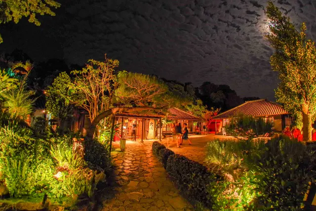 「百年古家 大家」でやんばるの自然・歴史・琉球料理を満喫する過ごし方ガイド