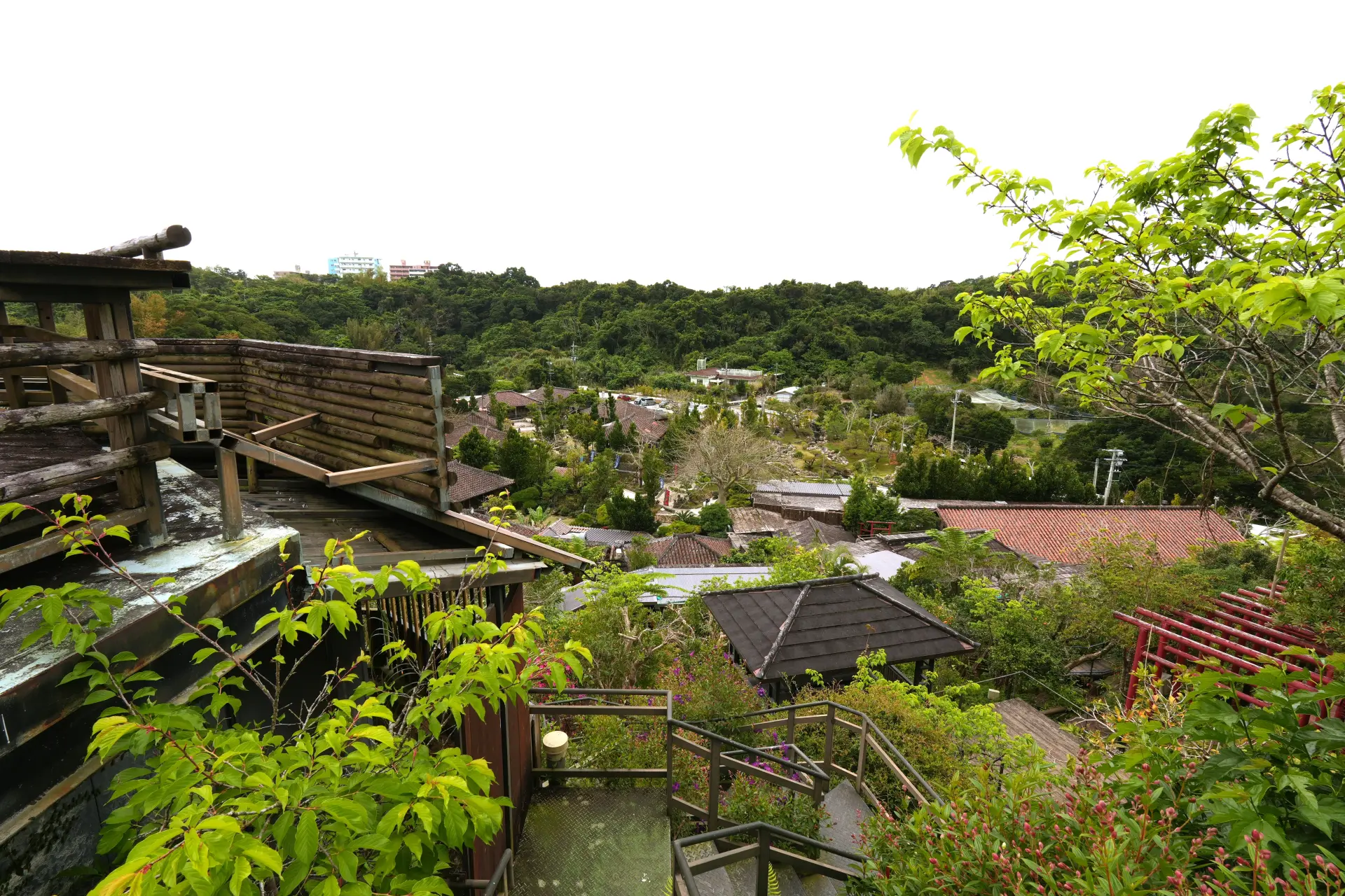 「百年古家大家」全景