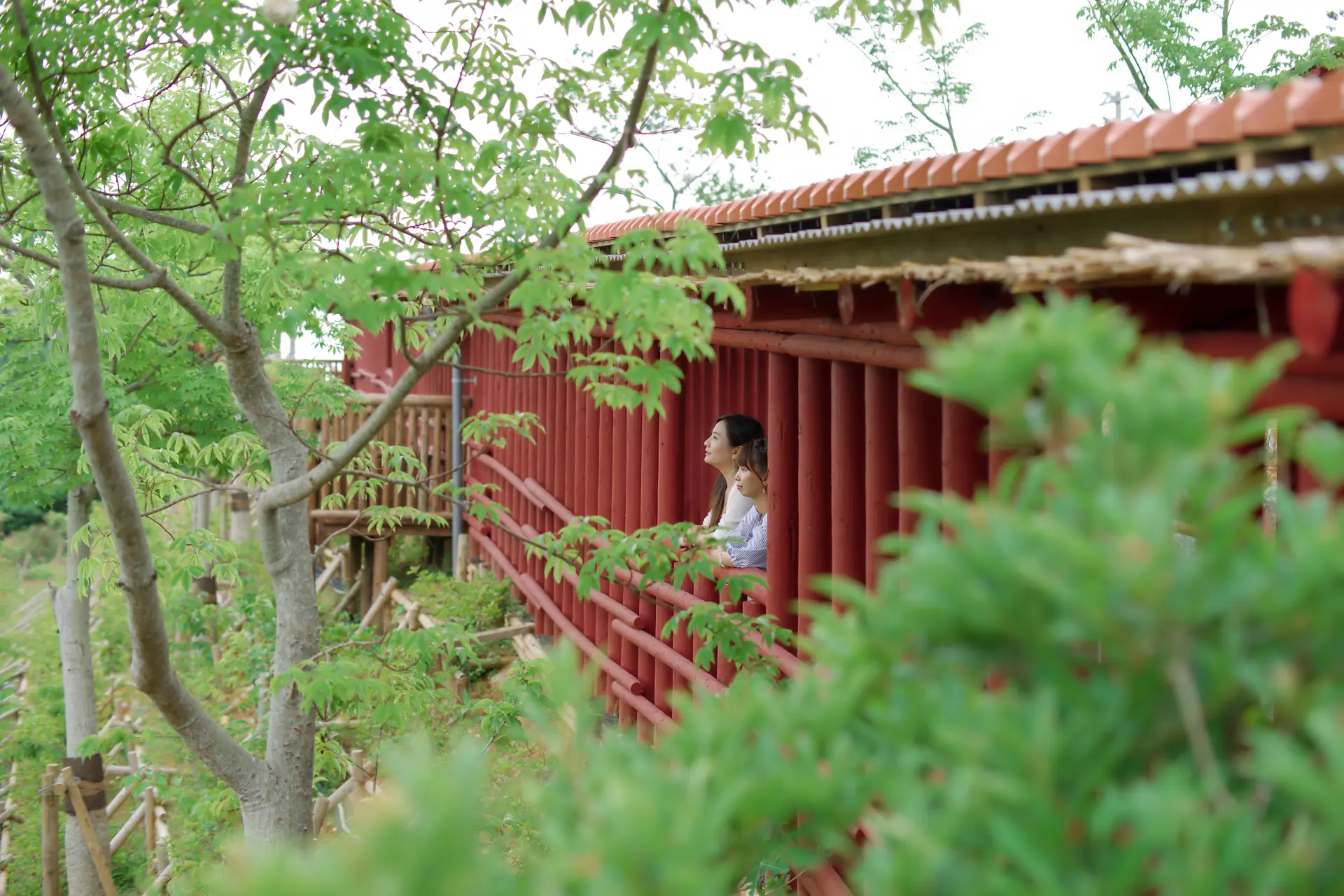 在满满负离子中悠然散步