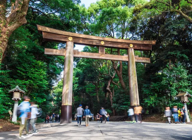 明治神宮最人氣的「南參道參拜路線」沿途看點一篇掌握！