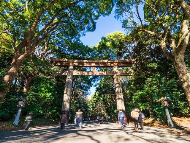 明治神宮最人氣的「南參道參拜路線」沿途看點一篇掌握！