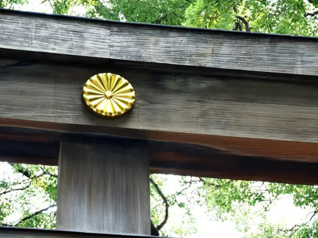 十六葉八重表菊