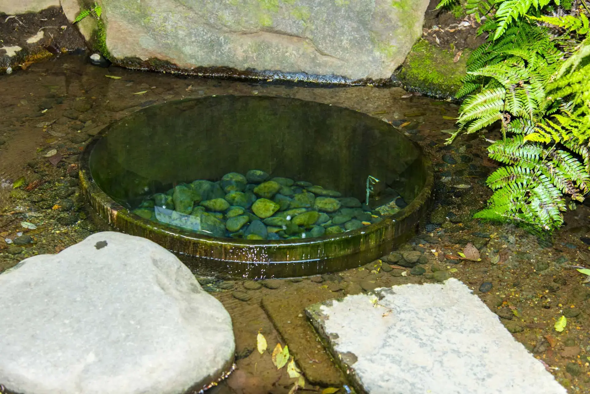 明治神宮的超能量景點:清正井