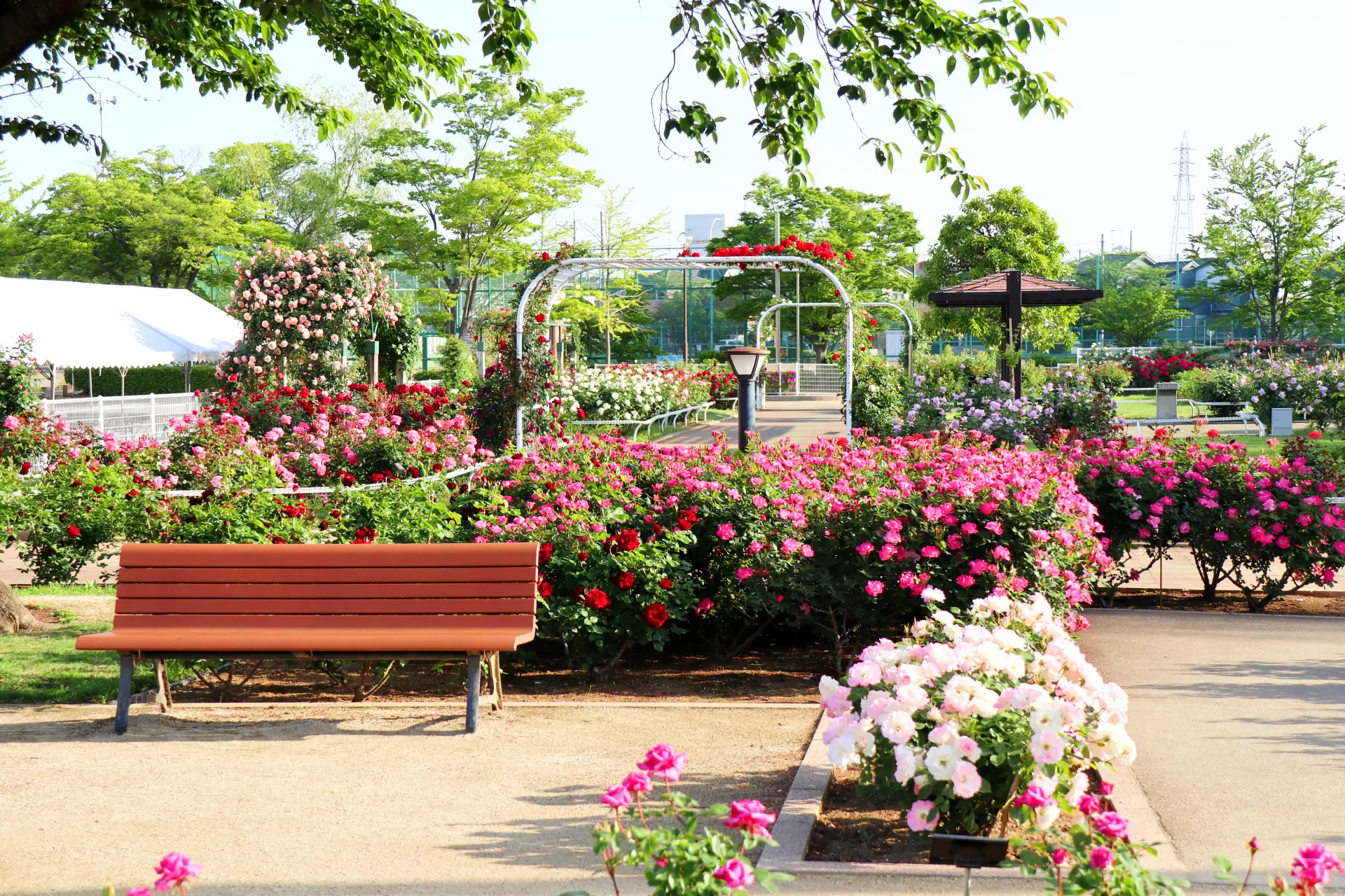 アーチや花壇を彩る花々が、華やかな庭園風景を作り出している