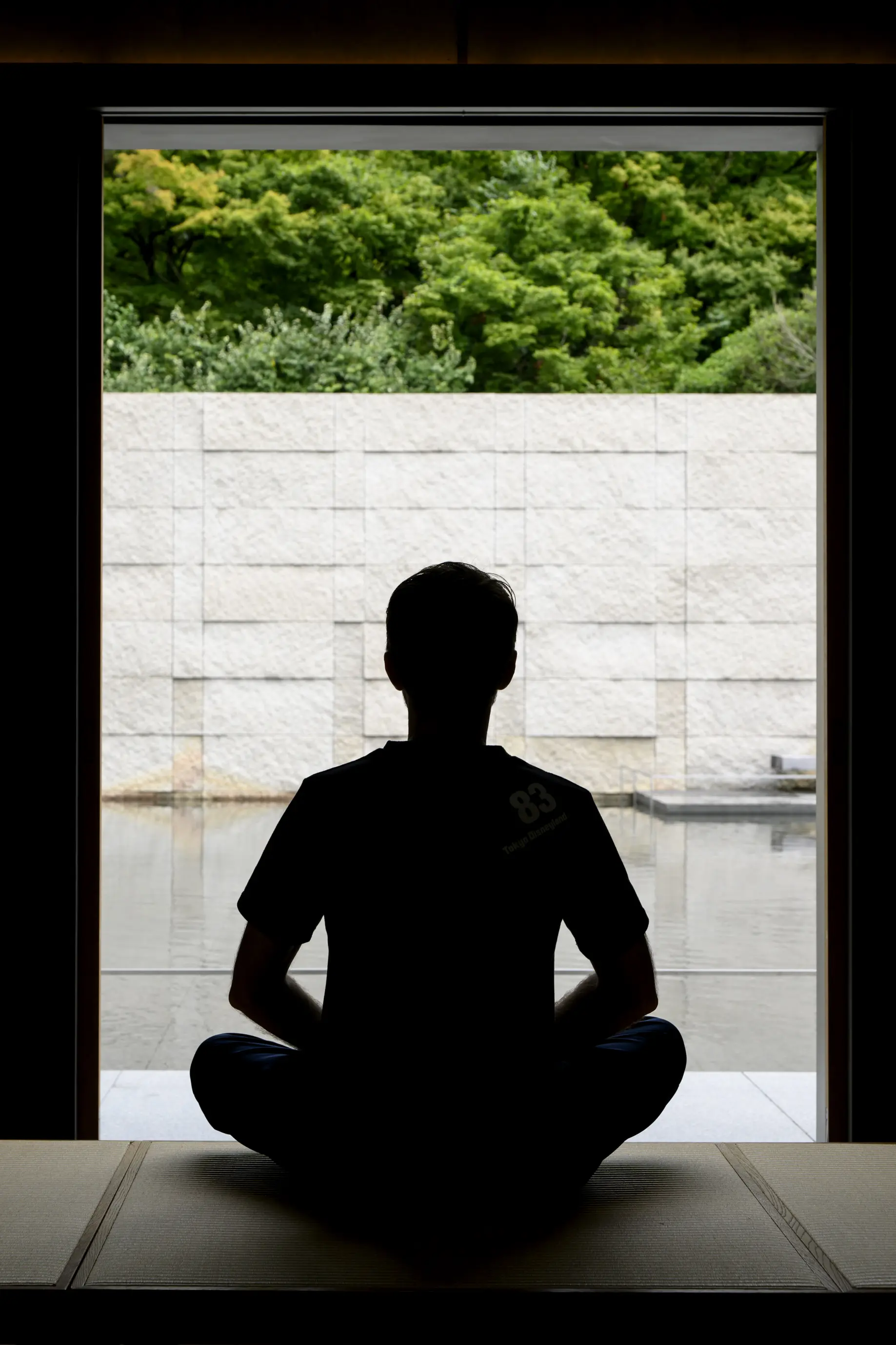 水鏡の庭に面した静かな空間。建物の内側から庭を眺める落ち着いた景観