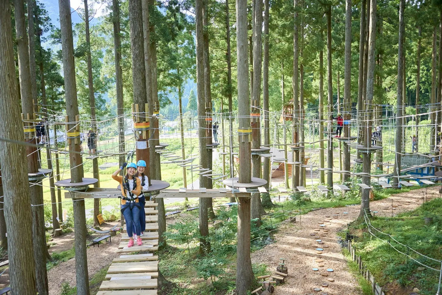 木々の間に設けられたコースを進み、体を動かながら自然も満喫