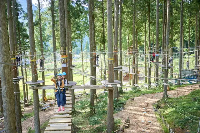 穿梭於設置於樹木之間設置的路線，一邊活動身體，一邊享受大自然