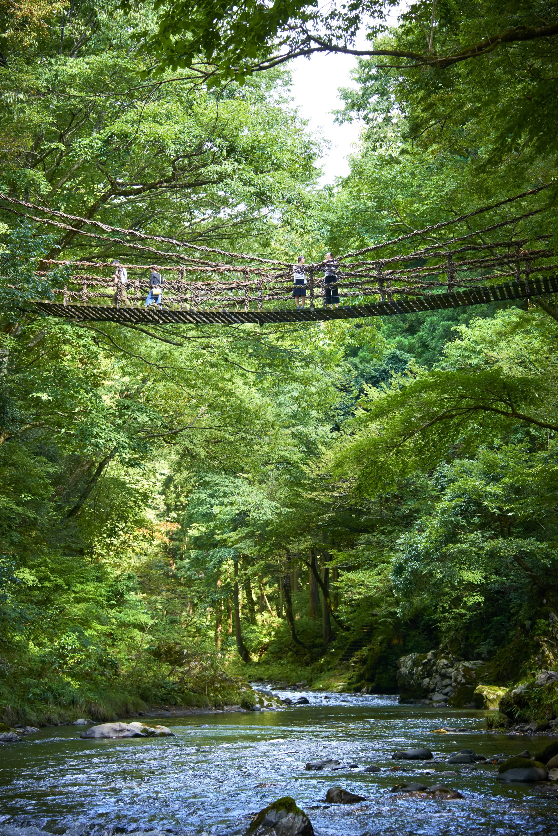 揺れる橋の上から清流と豊かな緑の景色を眺めながら渡ることができる
