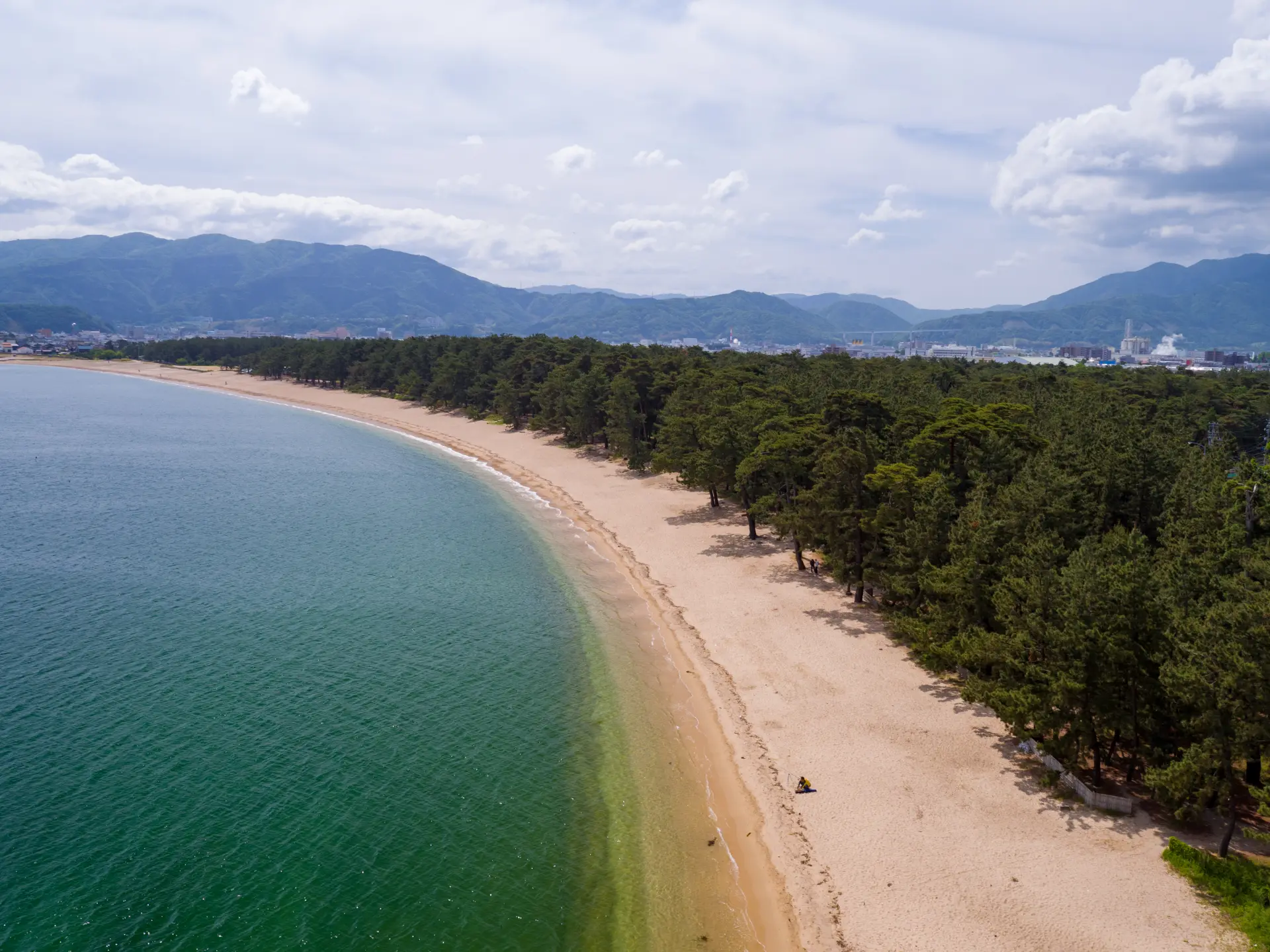白砂の浜と松林が続く気比の松原の海岸景観。福井を代表する自然の景勝地