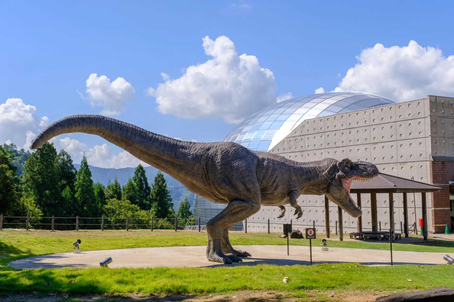 【福井のレジャースポット9選】恐竜王国と森・山・湖のアウトドア体験