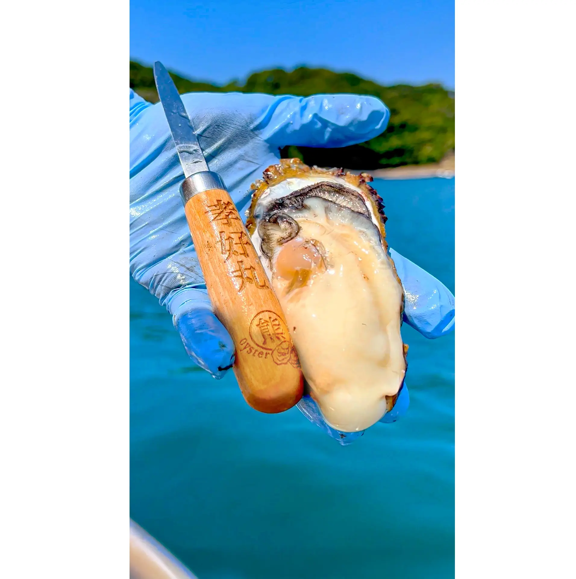 ふっくらとした身にはミネラル分が凝縮