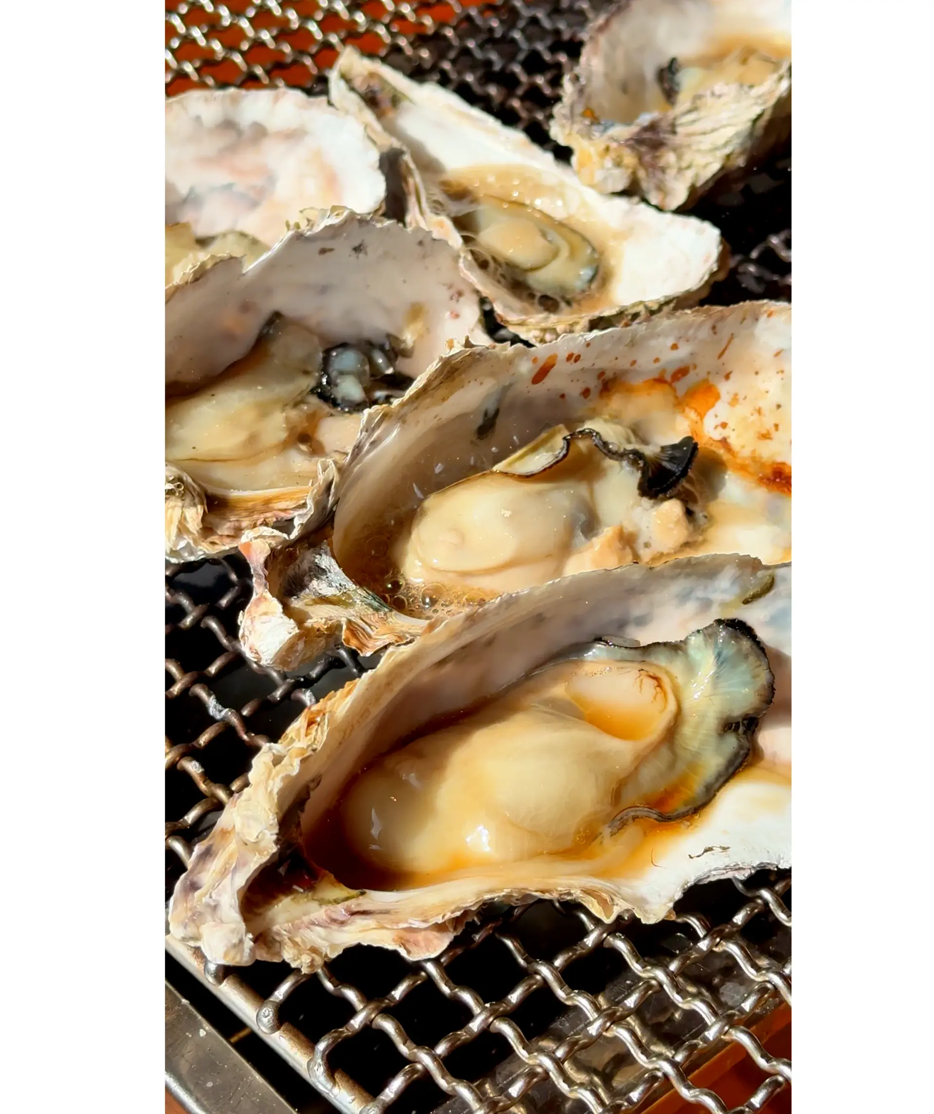 汁まで美味しい旨みたっぷりの焼き牡蠣